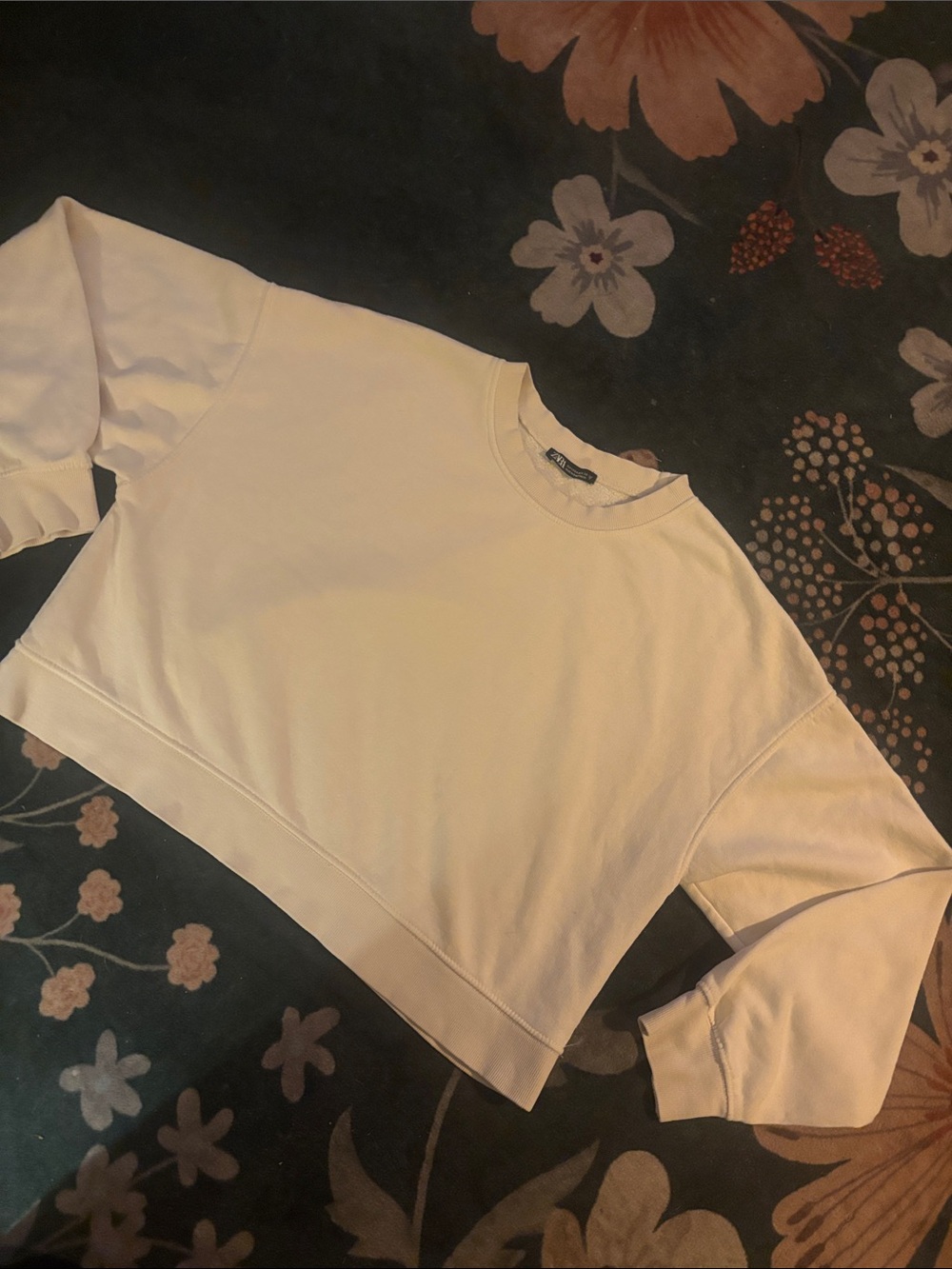 Zara Cream Cropped Crewneck Sweatshirt